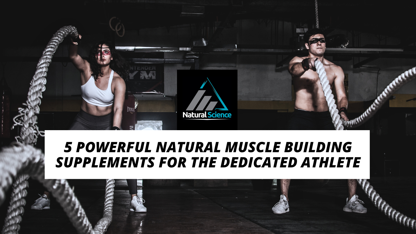 5 Powerful Natural Muscle Building Supplements for the Dedicated Athlete