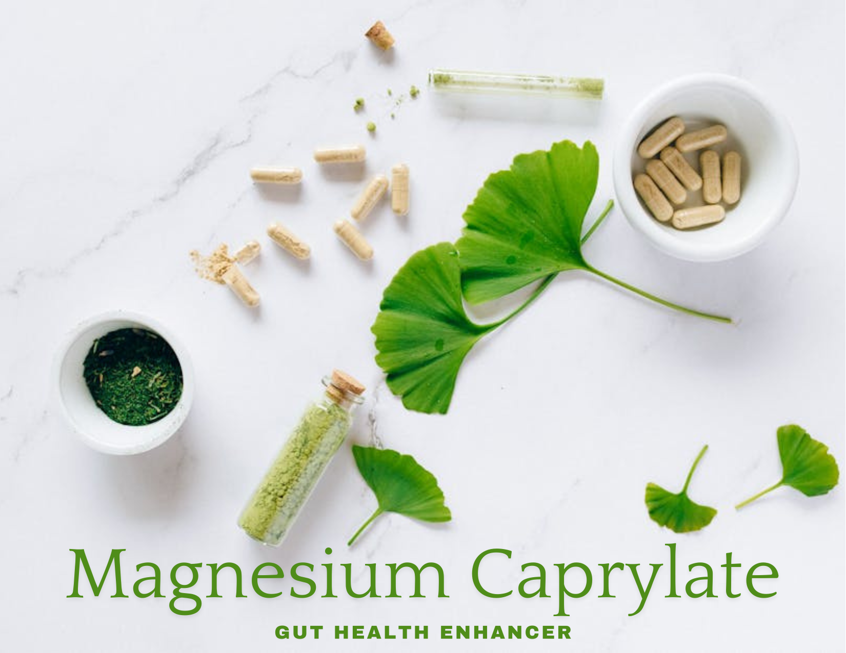 Magnesium Caprylate: The GUT HEALTH Game Changer