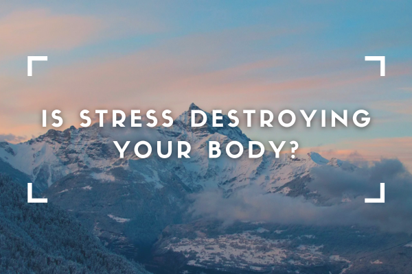 Is STRESS Destroying your body? (and your life)