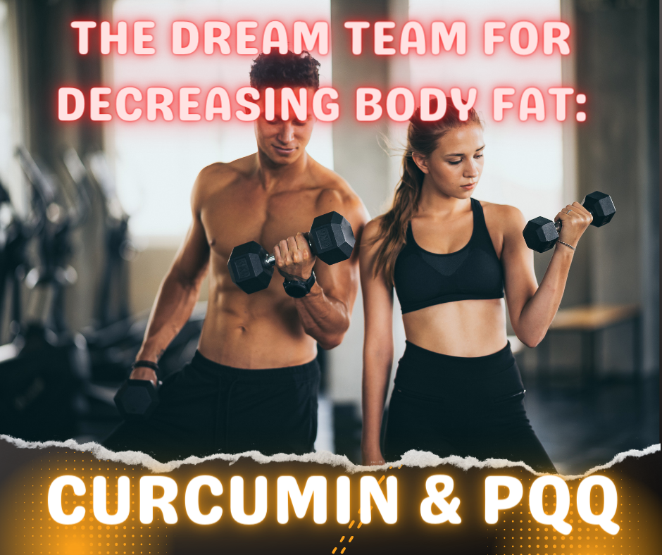 The Dream Team for Decreasing Body Fat: Curcumin & Pyrroquinolone Quinone (PQQ)